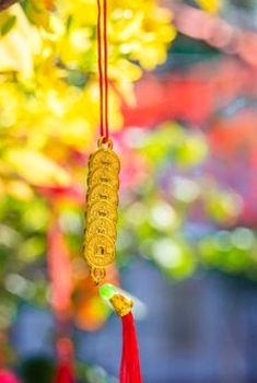cá cược bóng đá có nên chơi không